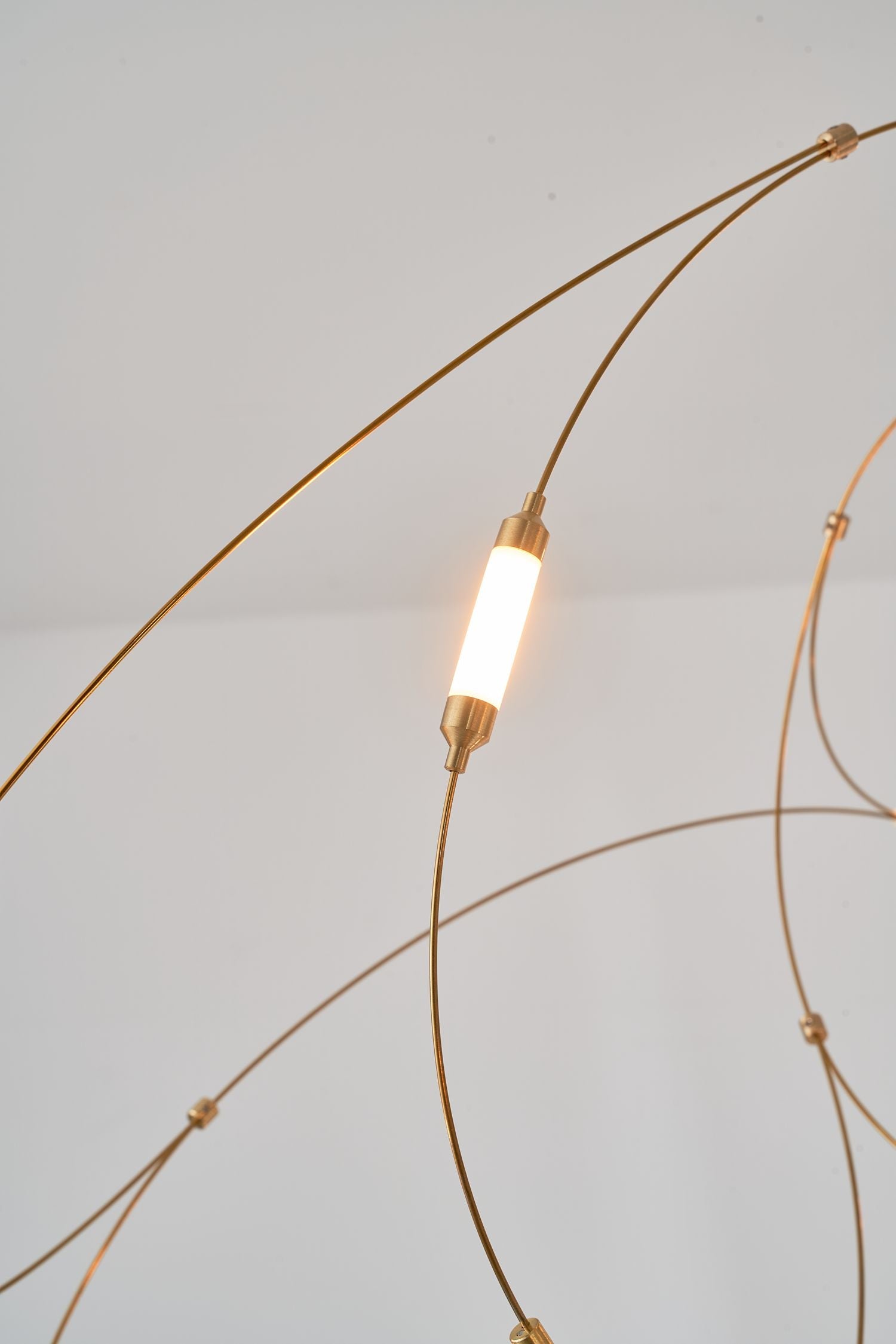 Flock of Light 21