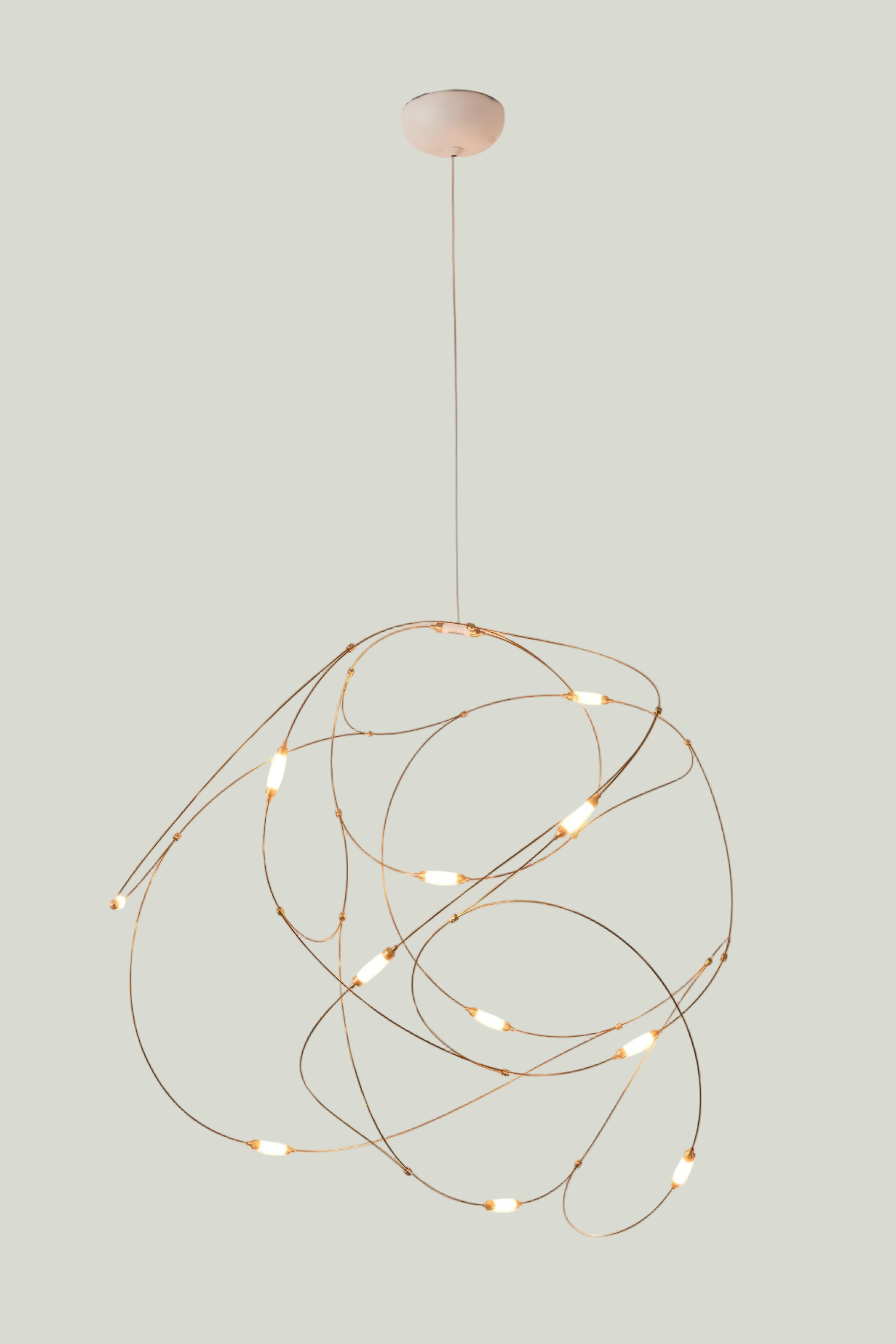 Flock of Light 11